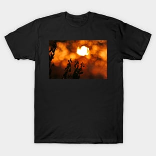 Inferno T-Shirt